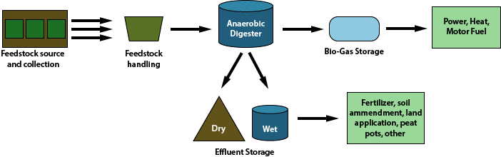 Anaer Digest process